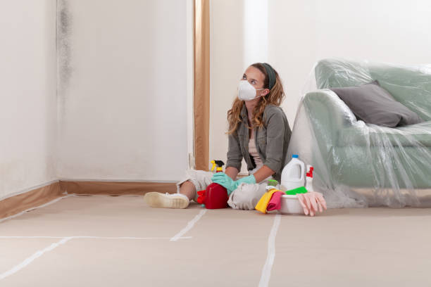 Reliable Mold Inspection And Testing contractor in New Providence, NJ by Mold Remediation HQ